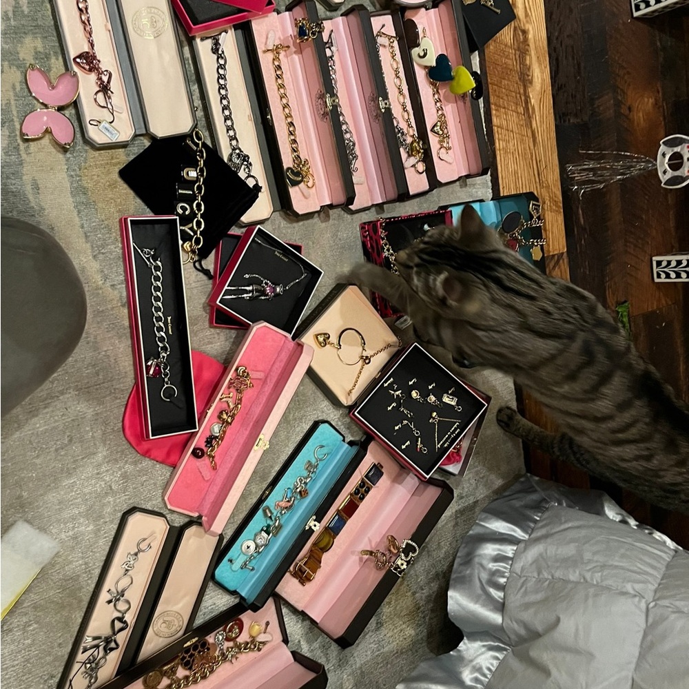 Juicy Bracelets and Charm Sets
